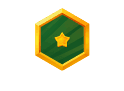 1. Developer Profile